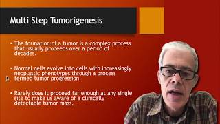 11 Multi Step Tumorigenesis [upl. by Phenice]