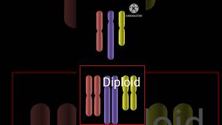 What is Haploid diploid 🤔 Biology [upl. by Aiblis]