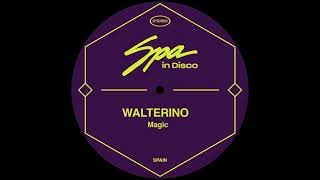 Walterino  Magic The Dukes Pleasure Mix [upl. by Kara]