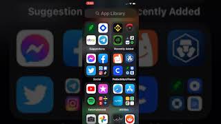 How to Delete and Reinstall Apps on your iPhone [upl. by Acinod609]