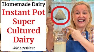 How to Make Instant Pot L Reuteri Cultured Dairy  Homemade l Reuteri Yogurt  Super Gut Yogurt [upl. by Gifford]