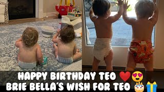 Happy Birthday Teo ❤️😍  Brie Bellas wish for Teo 🎂🎁  Bella Twins  WWE Fan  Nikki Bella [upl. by Martella]