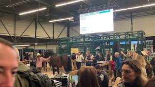 La filière hippique présente au Salon du Cheval dAngers [upl. by Naimed]