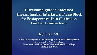 Lumbar Longissimus Plane LLP Block for Lumbar Laminectomy [upl. by Sarad]