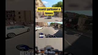 qual’è il vostro bolide invece perte bikelife neiperte 50cc viralvideo [upl. by Margot]