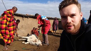 Visiting the Maasai  Kenyas Most Fearsome Tribe 🇰🇪 [upl. by Lenwood967]