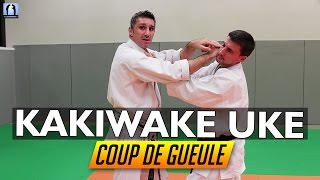 Kakiwake Uke  Karate avec Lionel Froidure [upl. by Horter]