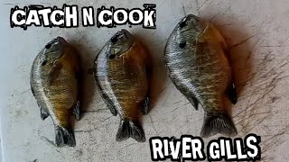 Bluegill Catch N Cook Mississippi River  My Go To Recipe [upl. by Qidas]