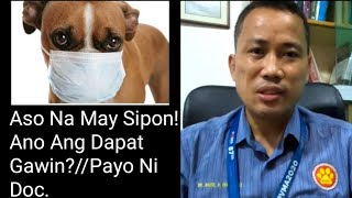 Sipon Sa Aso  Alamin Ang Dahilan At Ano Ang Dapat GawinHome Remedy Sa Sipon Ng Aso [upl. by Gracye]