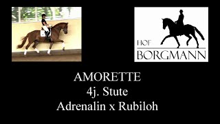 AMORETTE  Hof Borgmann  Juni 2022 [upl. by Nunes628]