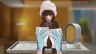 Best ASMR Monkey Animation 🐒 [upl. by Nnaeiram]