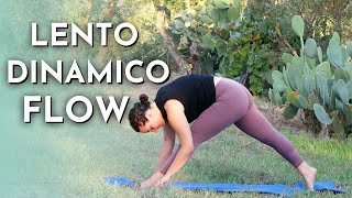 30 min YOGA Vinyasa  Lento Flusso Dinamico e Completo [upl. by Alarick]