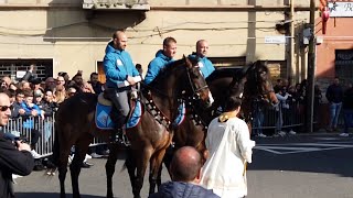 Oristano 2024 Benedizione Cavalli e Cavalieri della Sartiglia [upl. by Knutson490]