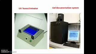 Molecular lab equipment and Instrumentation [upl. by Joycelin244]