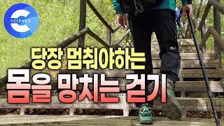 걸으면 안되는 사람이 있다고 2년 동안 매일 만 보씩 걷고 몸을 망친 사례  바른 자세로 걷는 방법 [upl. by Rydder130]