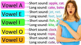 VOWELS amp CONSONANTS  Whats the difference  Learn with examples [upl. by Noryb672]