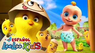 🐤🐥Los Pollitos Dicen Pio Pio  S1EP20 Las Mejores Canciones para Niños  LooLoo Kids Español [upl. by Primrose]