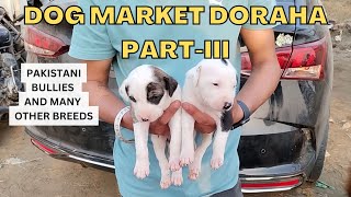 Puppy market in India at cheapest rates Wholesale Dog market outside Ludhiana Dog show 2023 [upl. by Piers]