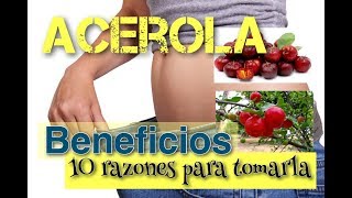 🍈 ACEROLA BENEFICIOS ✅ 10 RAZONES probadas para TOMAR este fruto [upl. by Ephraim676]