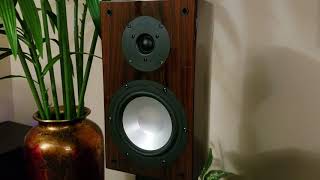 Bookshelf Speakers Demo RBH SV61 [upl. by Ellehsem407]