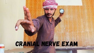 asmr cranial nerve exam [upl. by Akinirt]