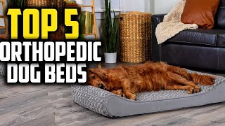 ✅Best Orthopedic Dog Beds in 2024 [upl. by Lindy]