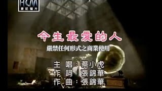 蔡小虎今生最愛的人官方KTV版 [upl. by Ghassan]