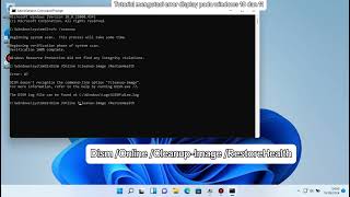 Cara mengatasi error display pada windows 10 dan windows 11 [upl. by Airotnes712]