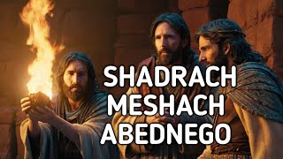 SHADRACHMESHACH AND ABEDNEGO  BIBLE STORY [upl. by Hancock]