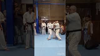 Sabaki karateehsanashtari shidokan martialarts karate kyokushinkarate kick [upl. by Adnolaj572]