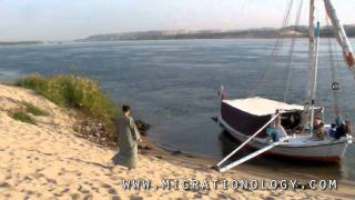 Sailing the Nile on an Egyptian Felucca  Aswan to Luxor [upl. by Ynneb745]