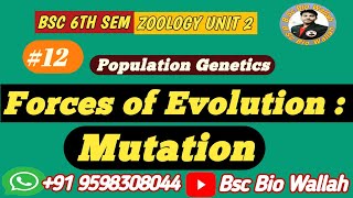 Forces of Evolution  Mutation  Selection  Genetic drift [upl. by Ahsiekin]