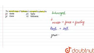 The second stage of hydrosere is occupied by plants like [upl. by O'Gowan]