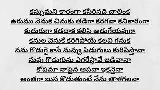 కోపమా నాపైన పాట తెలుగులో  Kopama Napaina song lyrics in Telugu  Varsham Telugusongslyrics977 [upl. by Preiser]