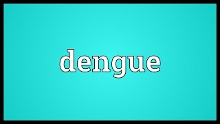 Dengue Meaning [upl. by Ettezzus720]