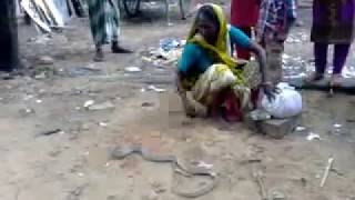 SNAKETRADITIONAL SAP KHELA sapar kala [upl. by Ijuy]