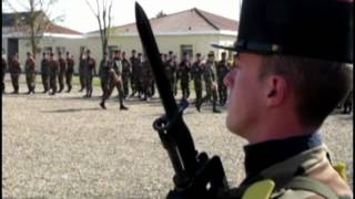 Remise de fourragères aux nouvelles recrues du RICM [upl. by Llemij801]