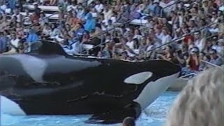 Tilikum Sliding Out March 2004 [upl. by Artep]