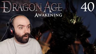 The Baroness of Blackmarsh amp Justice  Dragon Age Origins Awakening  Blind Playthrough Part 40 [upl. by Ahmad]