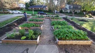 Front Yard Garden Timelapse [upl. by Sadoff977]