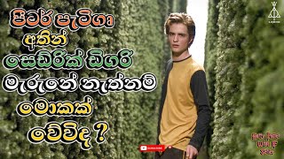 Goblet of Fire එකේදි Cedric Diggory මැරුනේ නැත්නම්  What IF Cedric Diggory Didnt DIE [upl. by Kellyann874]