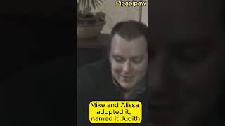 Rescued After 10 Years Judiths Journey from Pain to Joy shortvideo rescue doglover dogrescue [upl. by Reed647]