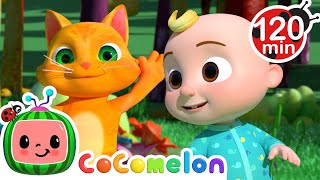 The Animal Dance Song  CoComelon  Animals for Kids  Sing Along  Learn about Animals [upl. by Ennayehc463]