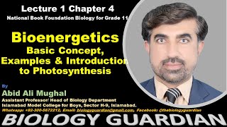 Bioenergetics basic concept examples amp introduction to photosynthesisLecture 1 Ch4 NBF Biology11 [upl. by Laertnom554]