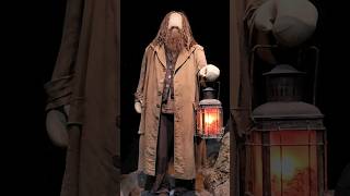 Harry Potter Hagrid dans la Forêt Interdite harrypotter hogwarts london themepark shorts [upl. by Chun]