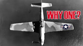 Why US planes Only had 1 Roundel [upl. by Bj]