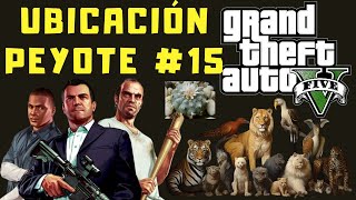 Ubicaciones de Peyote en GTA V 15 Modo Historia [upl. by Wolram]