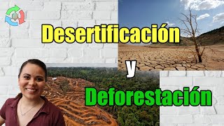 Explicando qué es la Deforestación y Desertificación  Objetivo 15 [upl. by Dove]