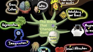 The Brain That Changes Itself  Part 1 of Selected Content from the Book [upl. by Scholz206]