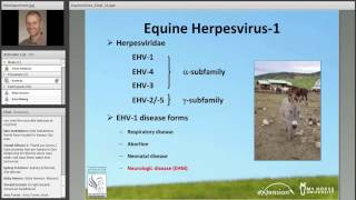 Lessons Learned from Recent Equine Herpesvirus1 Outbreaks [upl. by Yrakaz519]